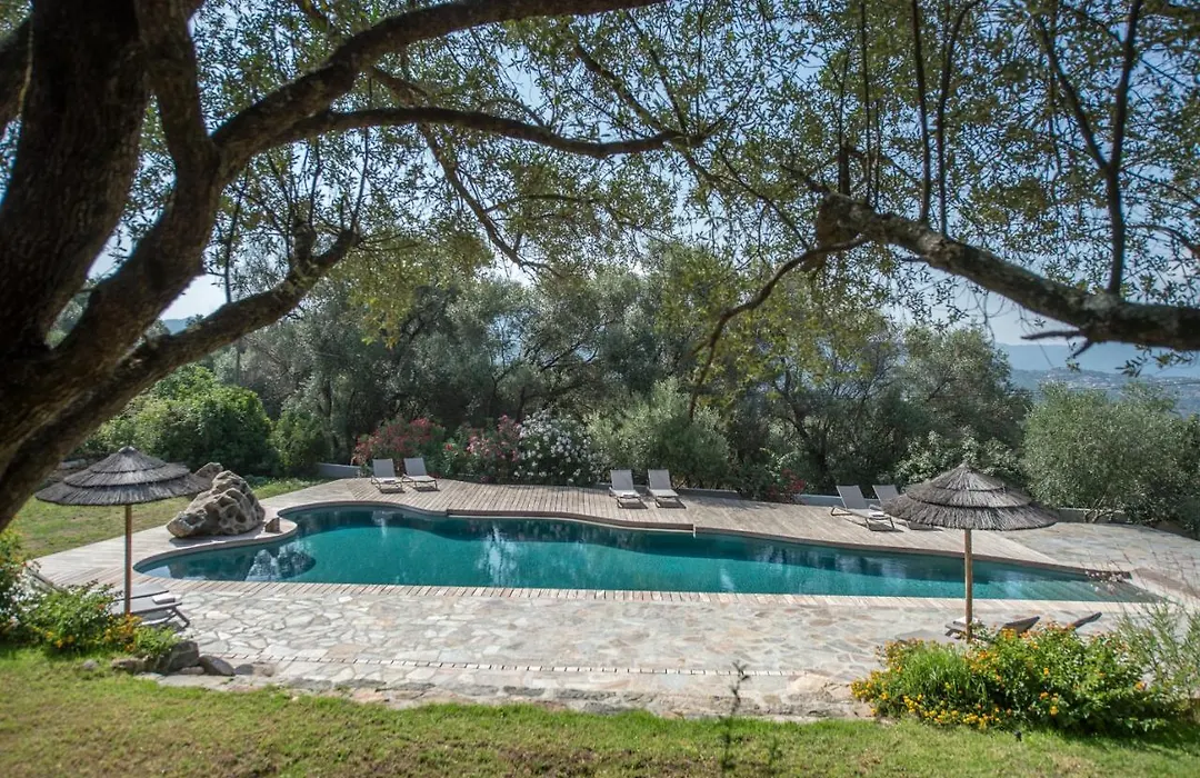 Residence Piatana-1